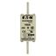 Fuse-link, LV, 160 A, AC 690 V, NH1, gL/gG, IEC, dual indicator, live gripping lugs thumbnail 10
