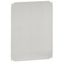Plain plate - for cabinets h. 300 x w. 200 mm thumbnail 1
