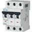 Miniature circuit breaker (MCB), 20 A, 3p, characteristic: D thumbnail 6