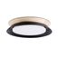 TENDER CEILING LAMP BLACK LED 24W 3000K thumbnail 1