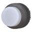 Illuminated pushbutton actuator, RMQ-Titan, Extended, momentary, White, Blank, Bezel: black thumbnail 2