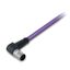 PROFIBUS cable M12B plug angled 5-pole violet thumbnail 3