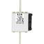 Fuse-link, high speed, 315 A, AC 1250 V, size 2, 61 x 77 x 160 mm, aR, IEC, UL, single indicator thumbnail 19