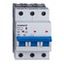 Miniature Circuit Breaker (MCB) AMPARO 6kA, B 50A, 3-pole thumbnail 2