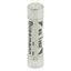 Fuse-link, Overcurrent NON SMD, 7 A, AC 240 V, BS1362 plug fuse, 6.3 x 25 mm, gL/gG, BS thumbnail 28