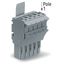 1-conductor female connector Push-in CAGE CLAMP® 4 mm² gray thumbnail 2