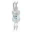 Utility fuse-link, low voltage, 160 A, AC 415 V, BS88/J, 31 x 110 mm, gL/gG, BS thumbnail 21