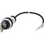 Key-operated actuator, RMQ compact solution, maintained, 1 N/O, Cable (black) with non-terminated end, 4 pole, 3.5 m, 2 positions, MS1, Bezel: titaniu thumbnail 5