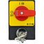 Panic switches, T0, 20 A, flush mounting, 3 pole, with red thumb grip and yellow front plate, Cylinder lock SVA thumbnail 14