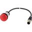 Indicator light, Flat, Cable (black) with M12A plug, 4 pole, 0.2 m, Lens Red, LED Red, 24 V AC/DC thumbnail 4