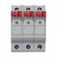 Fuse-holder, LV, 30 A, AC 600 V, 10 x 38 mm, 3P+N, UL, IEC, DIN rail mount thumbnail 36