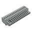 1-conductor female connector CAGE CLAMP® 2.5 mm² gray thumbnail 1