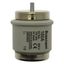 Fuse-link, low voltage, 160 A, AC 500 V, D5, 56 x 46 mm, gR, DIN, IEC, fast-acting thumbnail 3