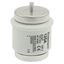Fuse-link, low voltage, 125 A, AC 500 V, D5, 56 x 46 mm, gL/gG, DIN, IEC, time-delay thumbnail 10