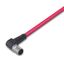 sercos cable M12D plug angled 4-pole red thumbnail 1