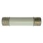 Oil fuse-link, medium voltage, 45 A, AC 12 kV, BS2692 F01, 254 x 63.5 mm, back-up, BS, IEC, ESI, with striker thumbnail 1