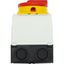 Main switch, T0, 20 A, surface mounting, 4 contact unit(s), 8-pole, Emergency switching off function, With red rotary handle and yellow locking ring, thumbnail 50