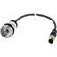 Pushbutton, Flat, momentary, 1 N/O, Cable (black) with M12A plug, 4 pole, 1 m, Without button plate, Bezel: titanium thumbnail 4