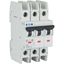 Miniature circuit breaker (MCB), 1.5 A, 3p, characteristic: B thumbnail 12