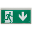 Harrier IP65 Blade Exit Sign Double Sided Legend Arrow Down thumbnail 7