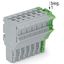 1-conductor female connector Push-in CAGE CLAMP® 4 mm² gray, green-yel thumbnail 2