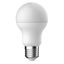 Lamp Lamp E27 SMD A60 14W 1521LM 2700K thumbnail 1