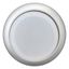 Illuminated pushbutton actuator, RMQ-Titan, Extended, momentary, White, Blank, Bezel: titanium thumbnail 4