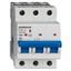 Miniature Circuit Breaker (MCB) AMPARO 10kA, D 25A, 3-pole thumbnail 9