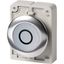 Illuminated pushbutton actuator, RMQ-Titan, Flat, momentary, White, inscribed 0, Metal bezel thumbnail 2