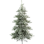 Christmas Tree Arvika thumbnail 2