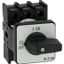 On-Off switch, P1, 25 A, flush mounting, 3 pole, with black thumb grip and front plate thumbnail 7