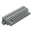 1-conductor female connector CAGE CLAMP® 2.5 mm² gray thumbnail 3