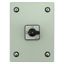 On-Off switch, P1, 40 A, 3 pole, surface mounting, with black thumb grip and front plate, in steel enclosure thumbnail 11