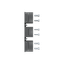 Kit HR FP XT6 3pcs thumbnail 4