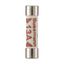 Fuse-link, Overcurrent NON SMD, 3 A, AC 240 V, BS1362 plug fuse, 6.3 x 25 mm, gL/gG, BS thumbnail 35