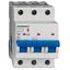 Miniature Circuit Breaker (MCB) AMPARO 10kA, C 13A, 3-pole thumbnail 1