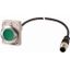 Illuminated pushbutton actuator, Flat, maintained, 1 N/O, Cable (black) with M12A plug, 4 pole, 1 m, LED green, green, Blank, 24 V AC/DC, Metal bezel thumbnail 1