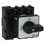 On-Off switch, P1, 40 A, flush mounting, 3 pole + N, with black thumb grip and front plate thumbnail 29