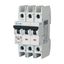 Miniature circuit breaker (MCB), 1 A, 3p, characteristic: C thumbnail 6