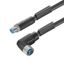 Sensor-actuator Cable (assembled), Connecting line, M12 / M12, Number  thumbnail 3