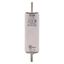 Fuse-link, high speed, 125 A, DC 1500 V, 01XL, 43 x 193 mm, gPV, IEC, UL, with indicator thumbnail 7