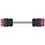 pre-assembled interconnecting cable Eca Socket/plug pink thumbnail 4