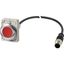 Illuminated pushbutton actuator, Flat, momentary, 1 NC, Cable (black) with M12A plug, 4 pole, 1 m, LED Red, red, Blank, 24 V AC/DC, Metal bezel thumbnail 2
