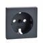 Central plate for SCHUKO socket-outlet insert, anthracite, System M thumbnail 3