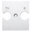 UNIVERSAL SUPPORT - COMBINED SOCKET OUTLET TV-R - GLOSSY WHITE - CHORUSMART thumbnail 2