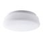 RANA E27, 2x60W, IP44 white, wall and ceiling luminaire thumbnail 1