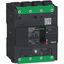 circuit breaker ComPact NSXm F (36 kA at 415 VAC), 4P 3d, 40 A rating TMD trip unit, EverLink connectors thumbnail 3