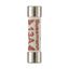 Fuse-link, Overcurrent NON SMD, 5 A, AC 240 V, BS1362 plug fuse, 6.3 x 25 mm, gL/gG, BS thumbnail 6