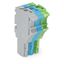 1-conductor female connector Push-in CAGE CLAMP® 4 mm² gray/blue/green thumbnail 1