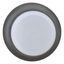 Illuminated pushbutton actuator, RMQ-Titan, Extended, momentary, White, Blank, Bezel: black thumbnail 4